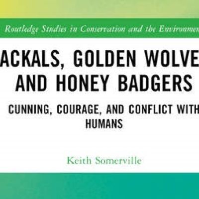 Jackals.jpg